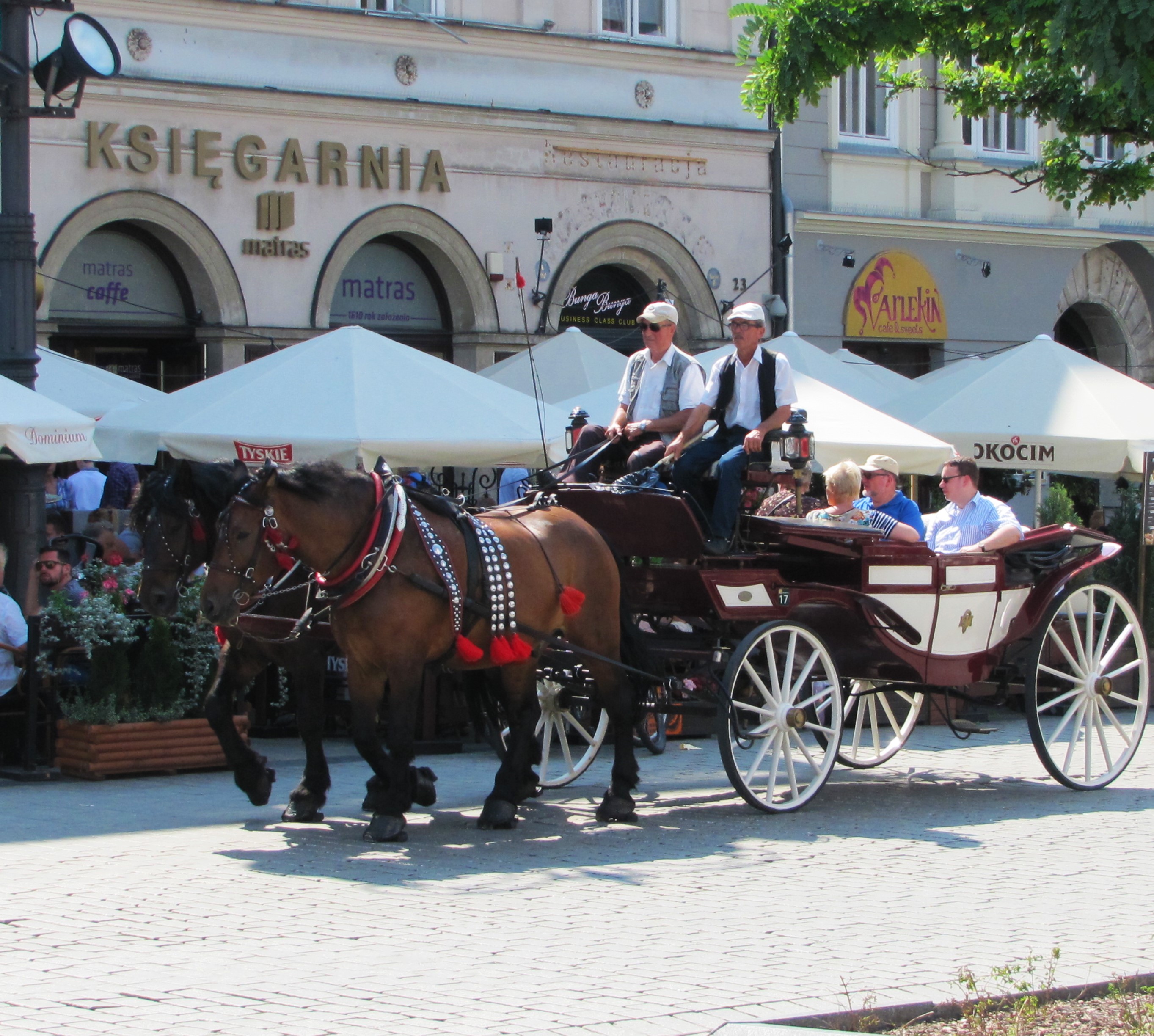 Carriage Ride