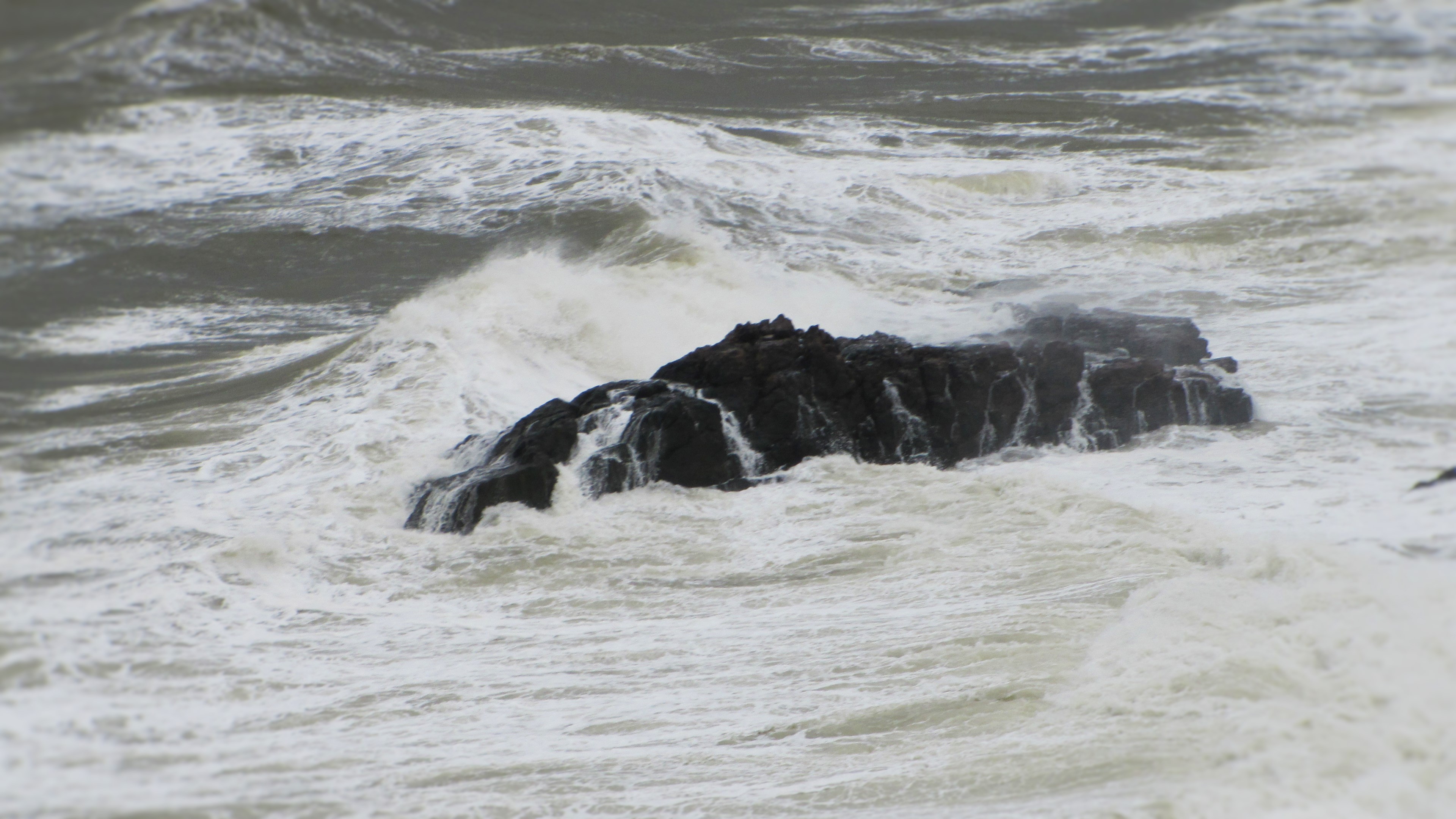 The Sea in Punta del Este