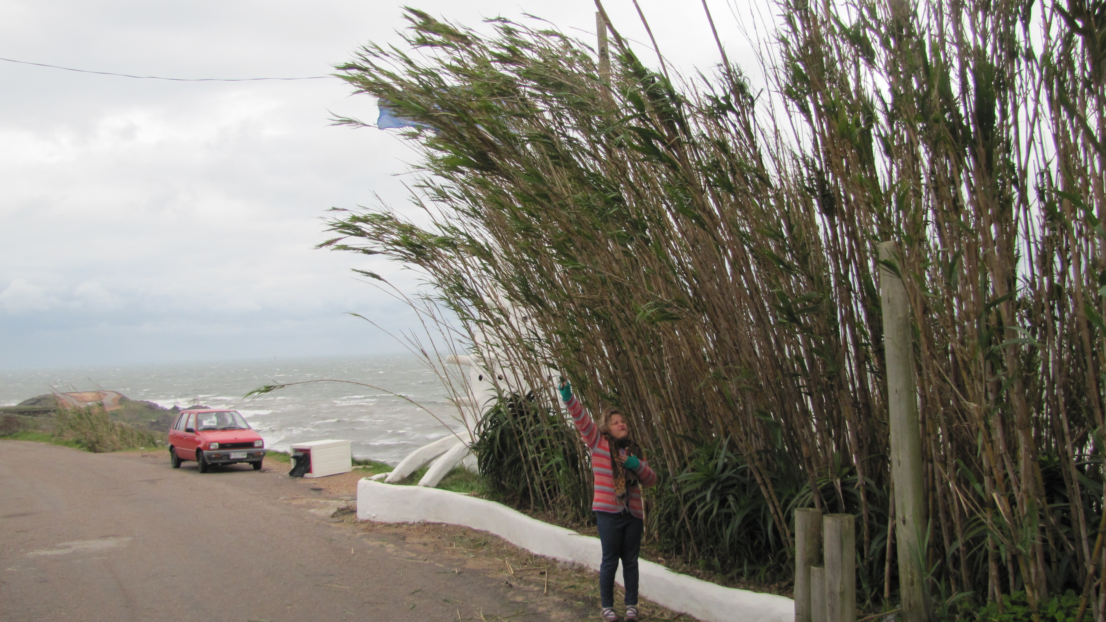 Cliff in Punta del Este