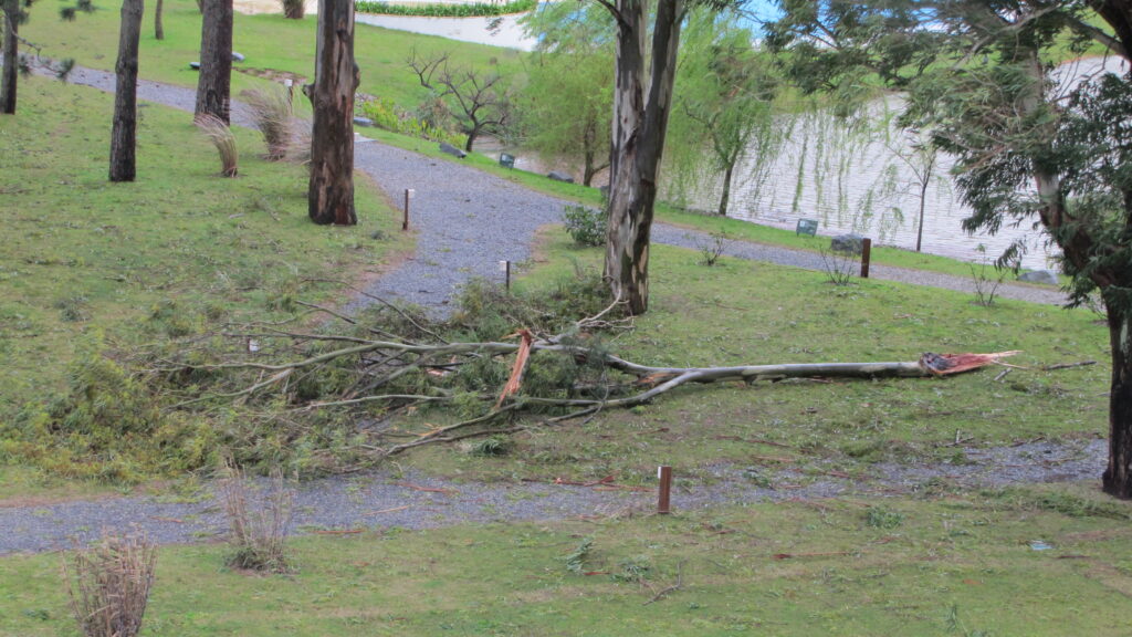 aftermath of storm in punta del este uruguay