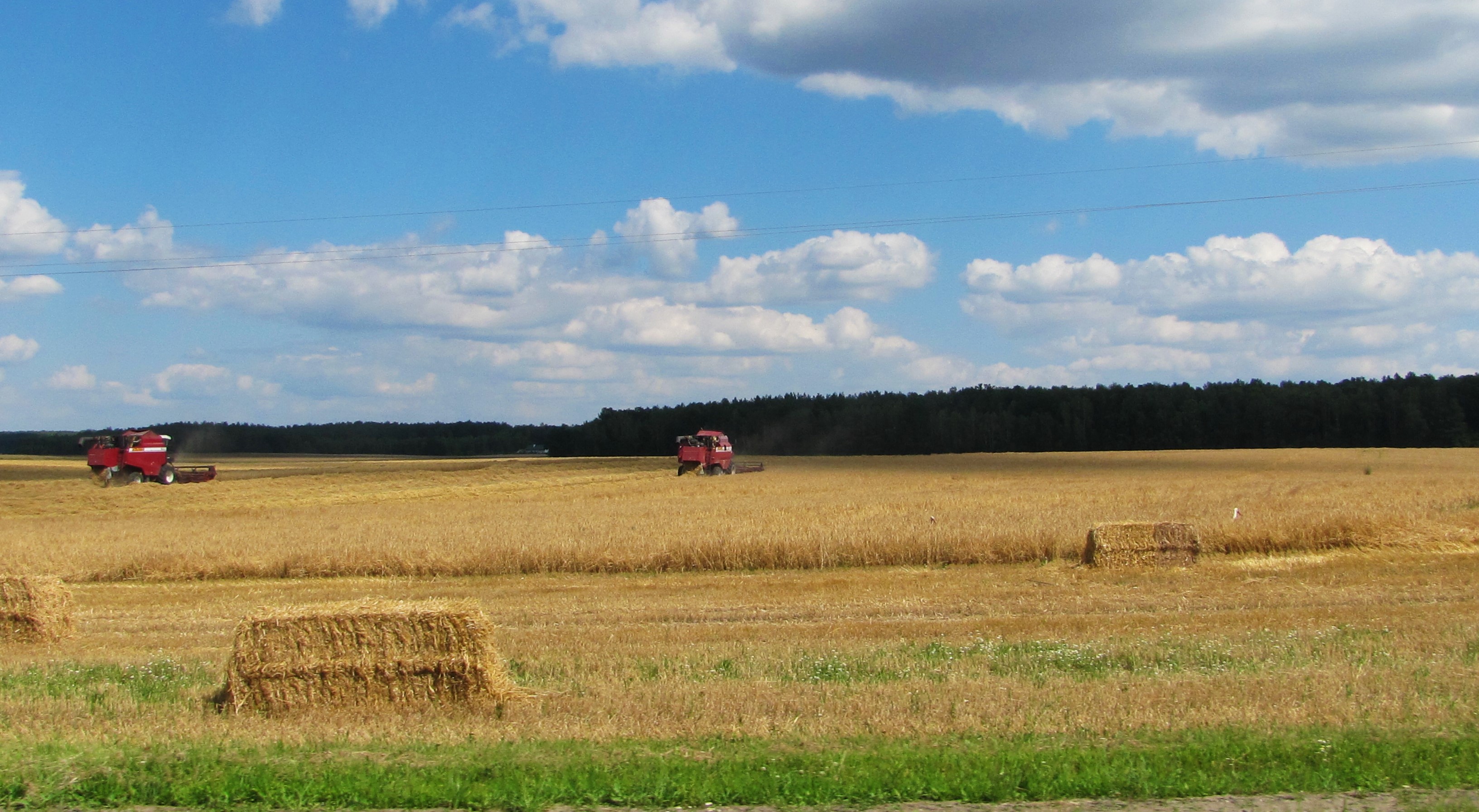 Working the Fields