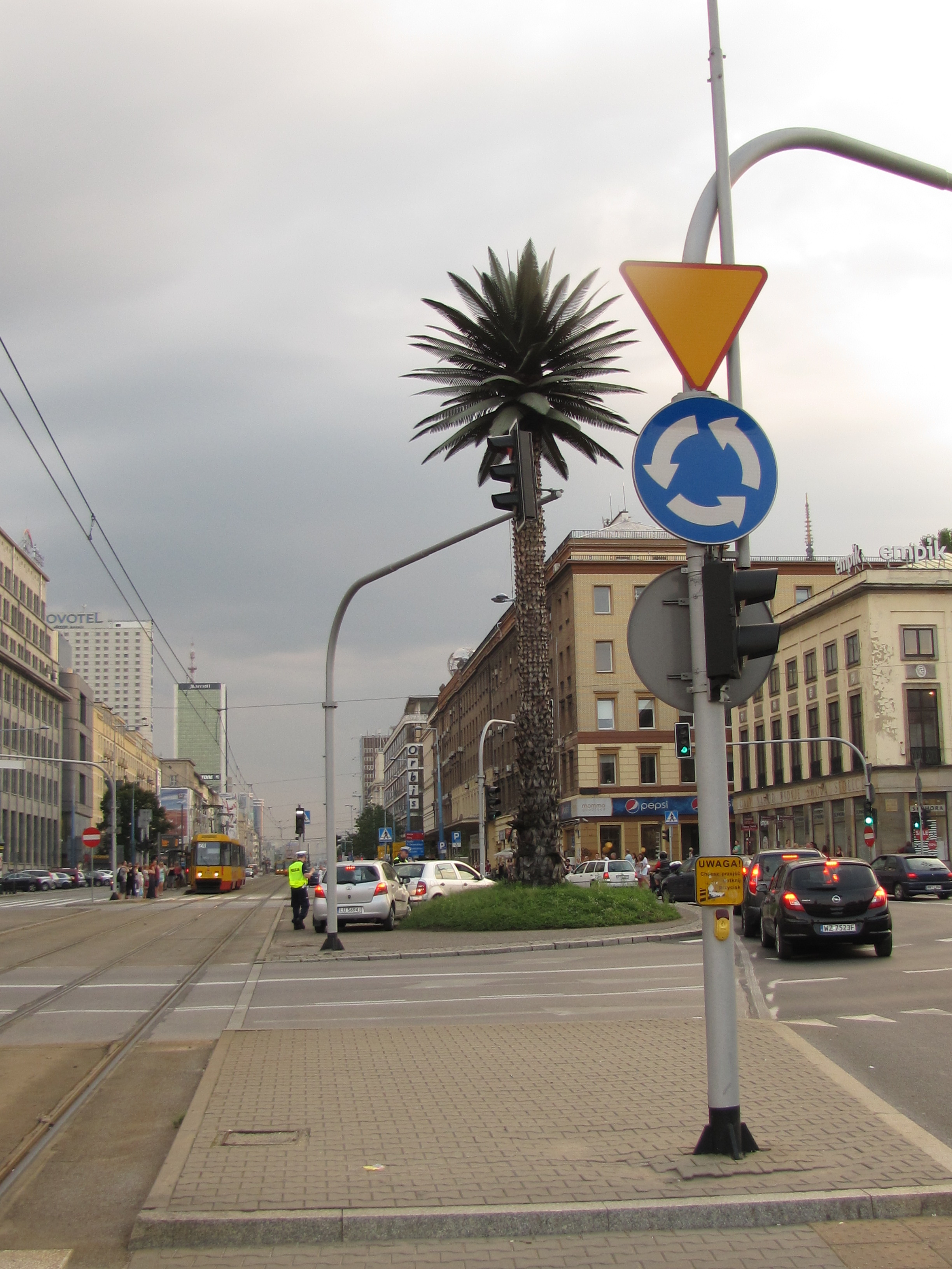 Palm Tree in Warsaw