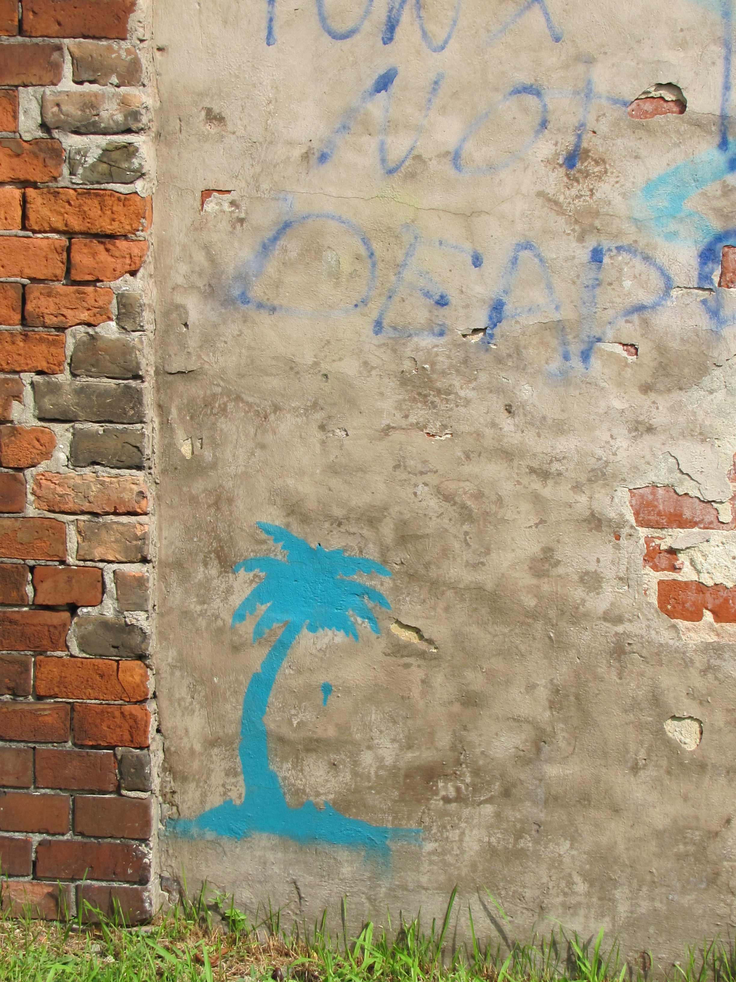 Palm tree drawn on wall of Jewish Cemetery