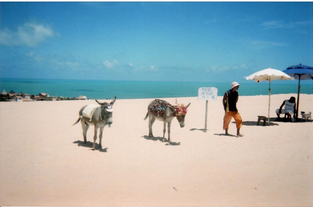 Pony Rides outside of Fortaleza