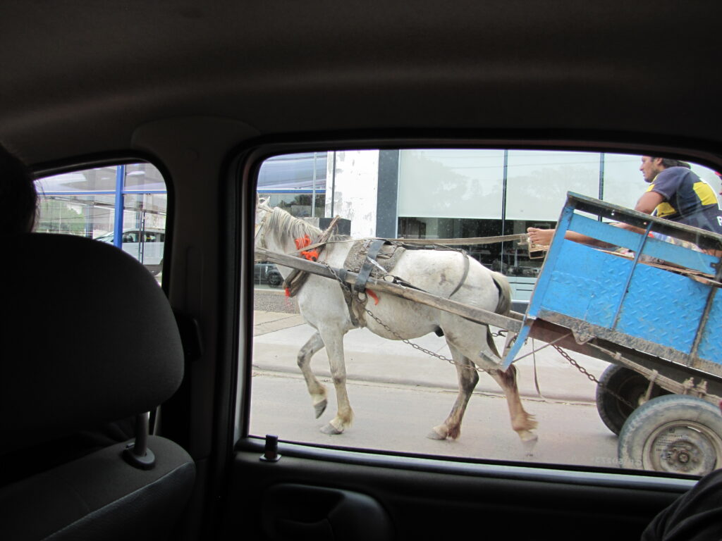 Cart and pony in Resistencia, Argentina