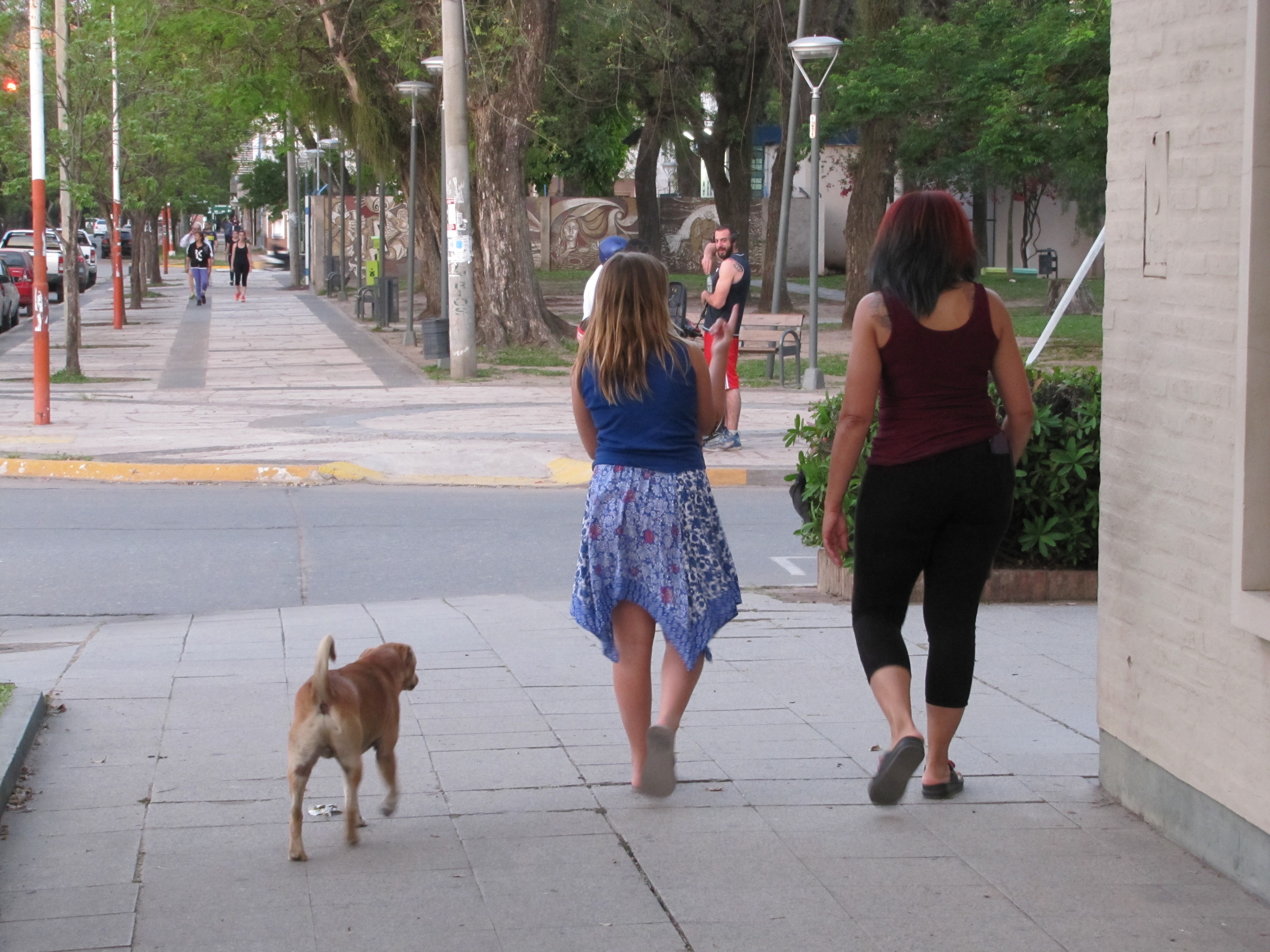 Dog befriends us in Argentina