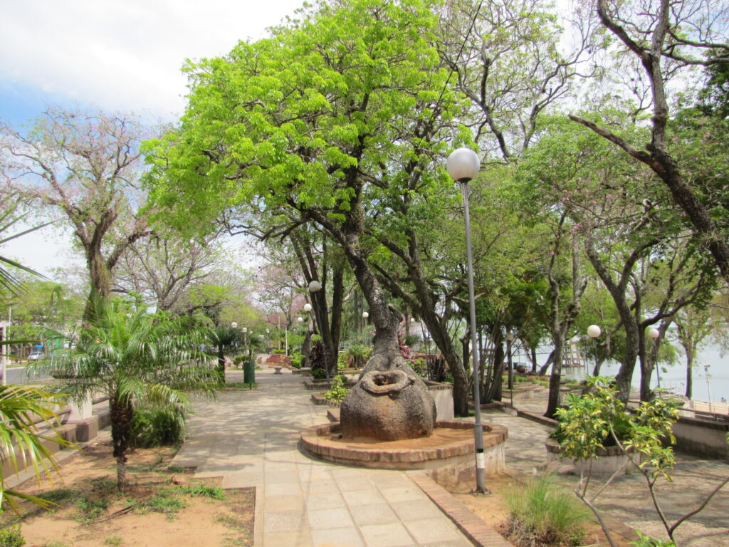 tree on promenade Argentina