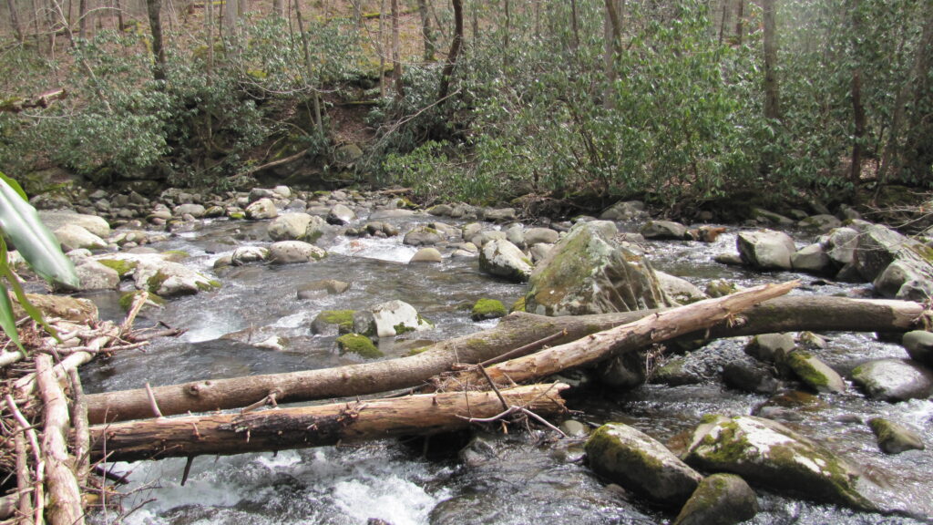 Smoky Mountain Stream