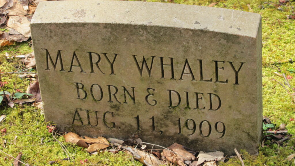 Smoky Mountains Infant Grave