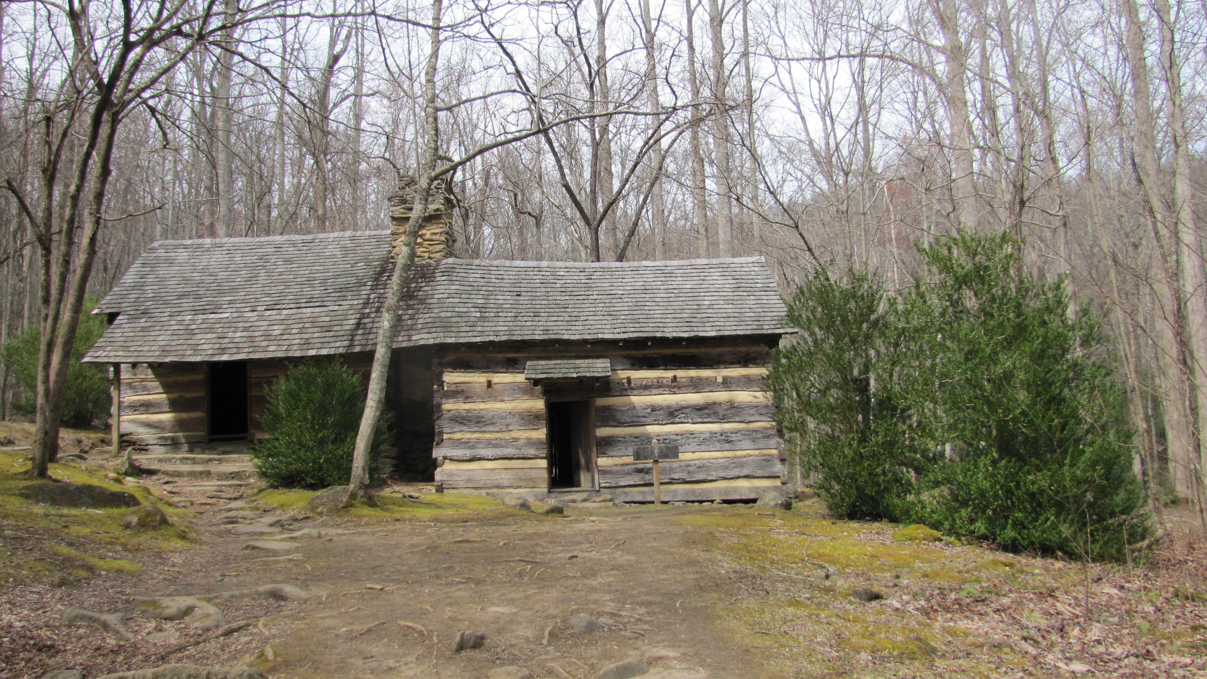 Smoky Mountain Cabin