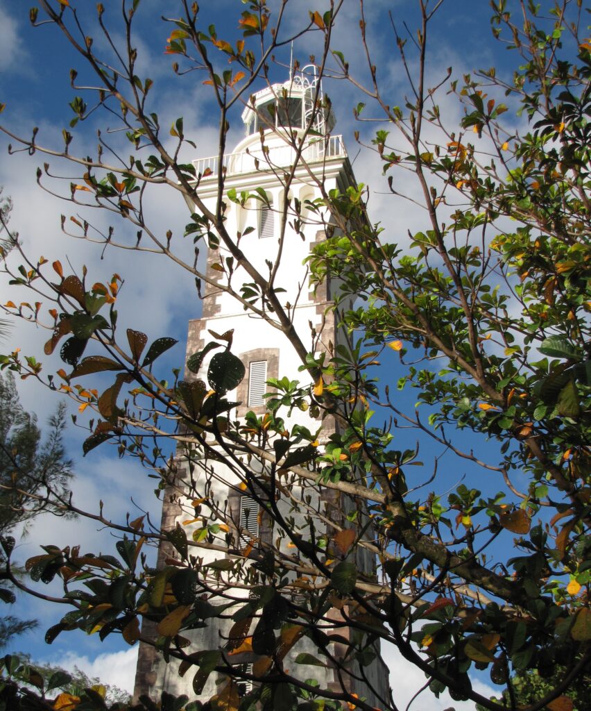 Lighthouse behind Plumeria