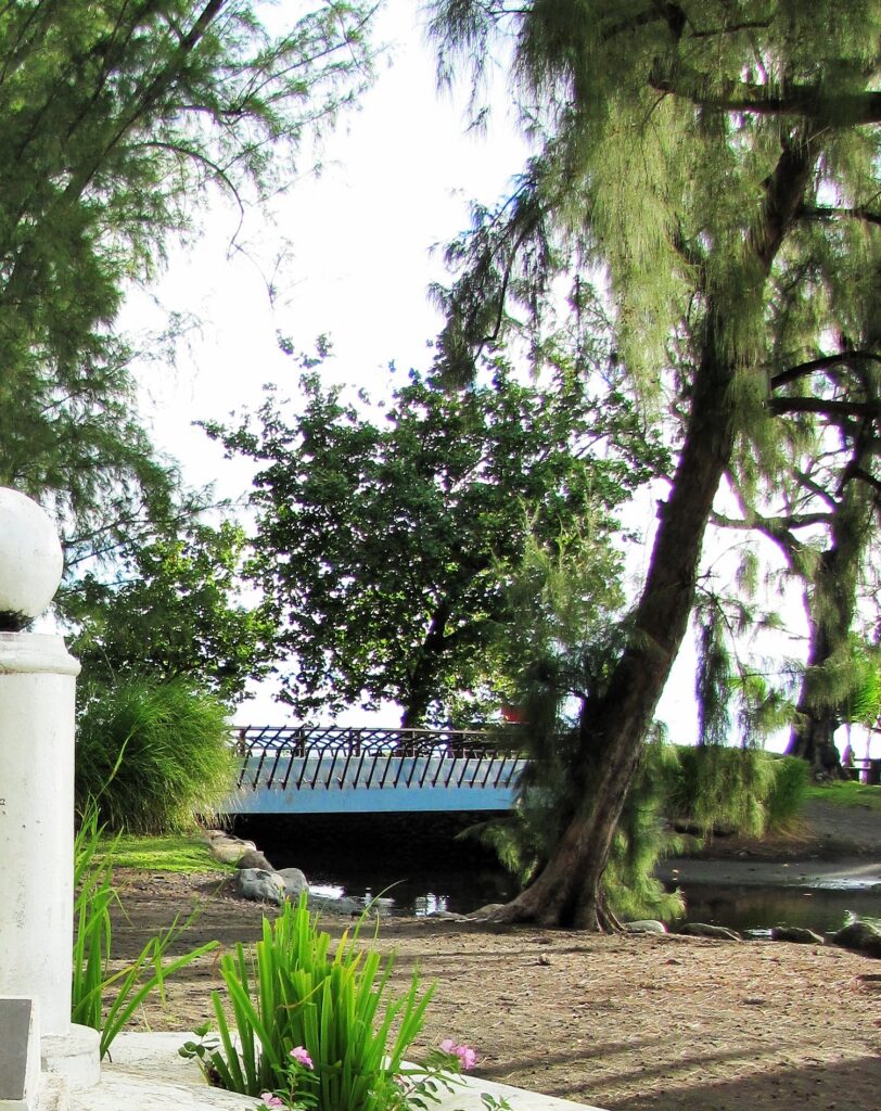 Bridge in Tahiti