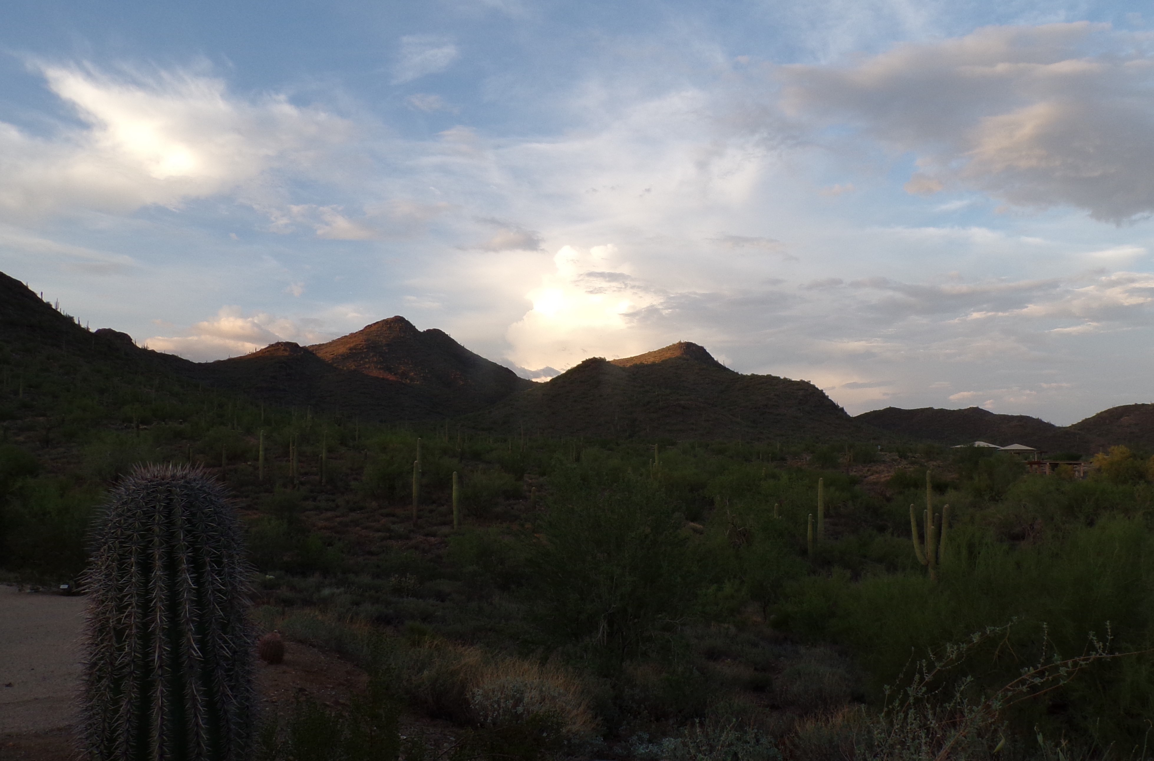 sunset in desert Phoenix