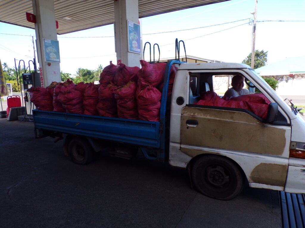 Coconut truck