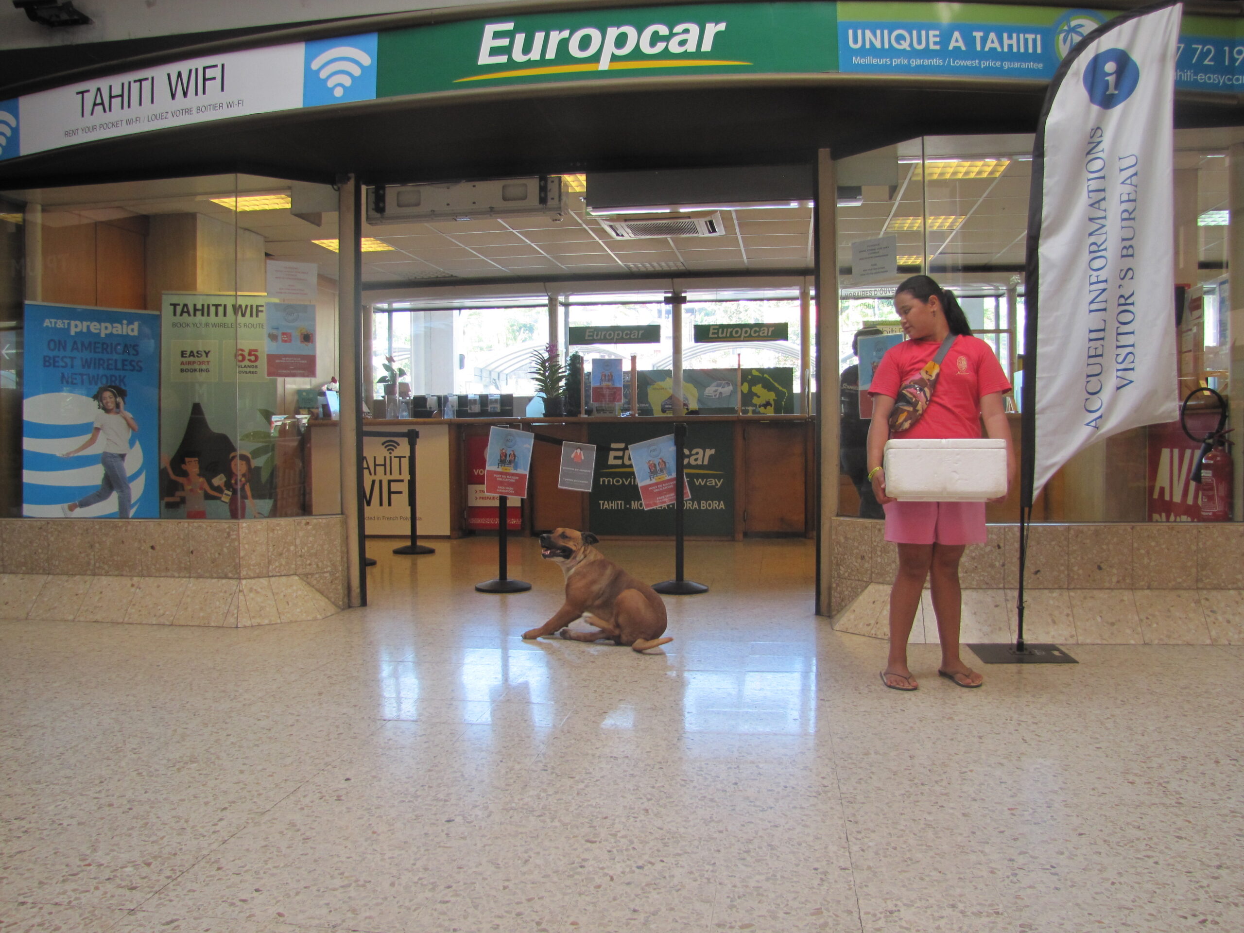 Dog and girl at airport