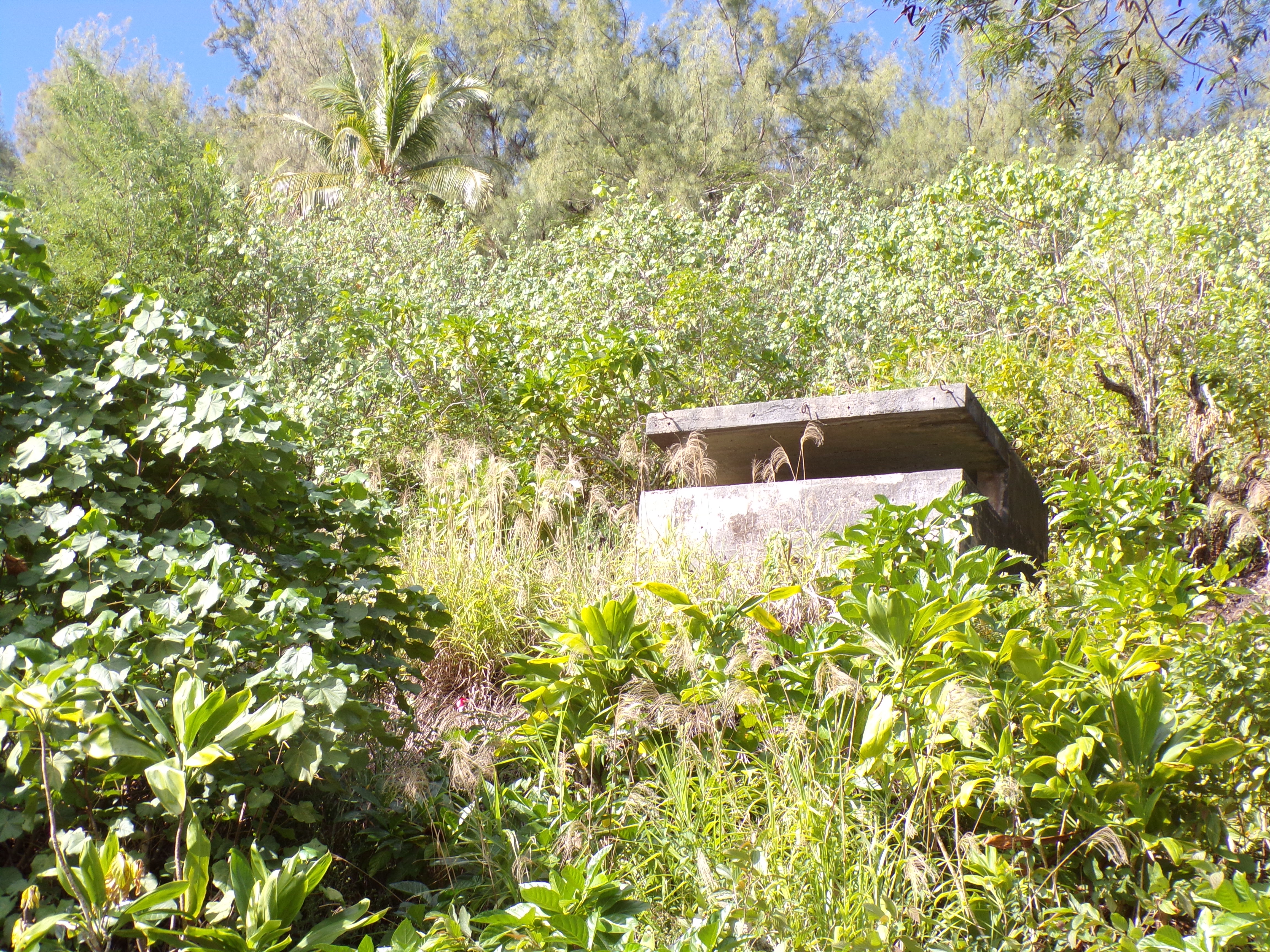 Pillbox on Bora Bora.