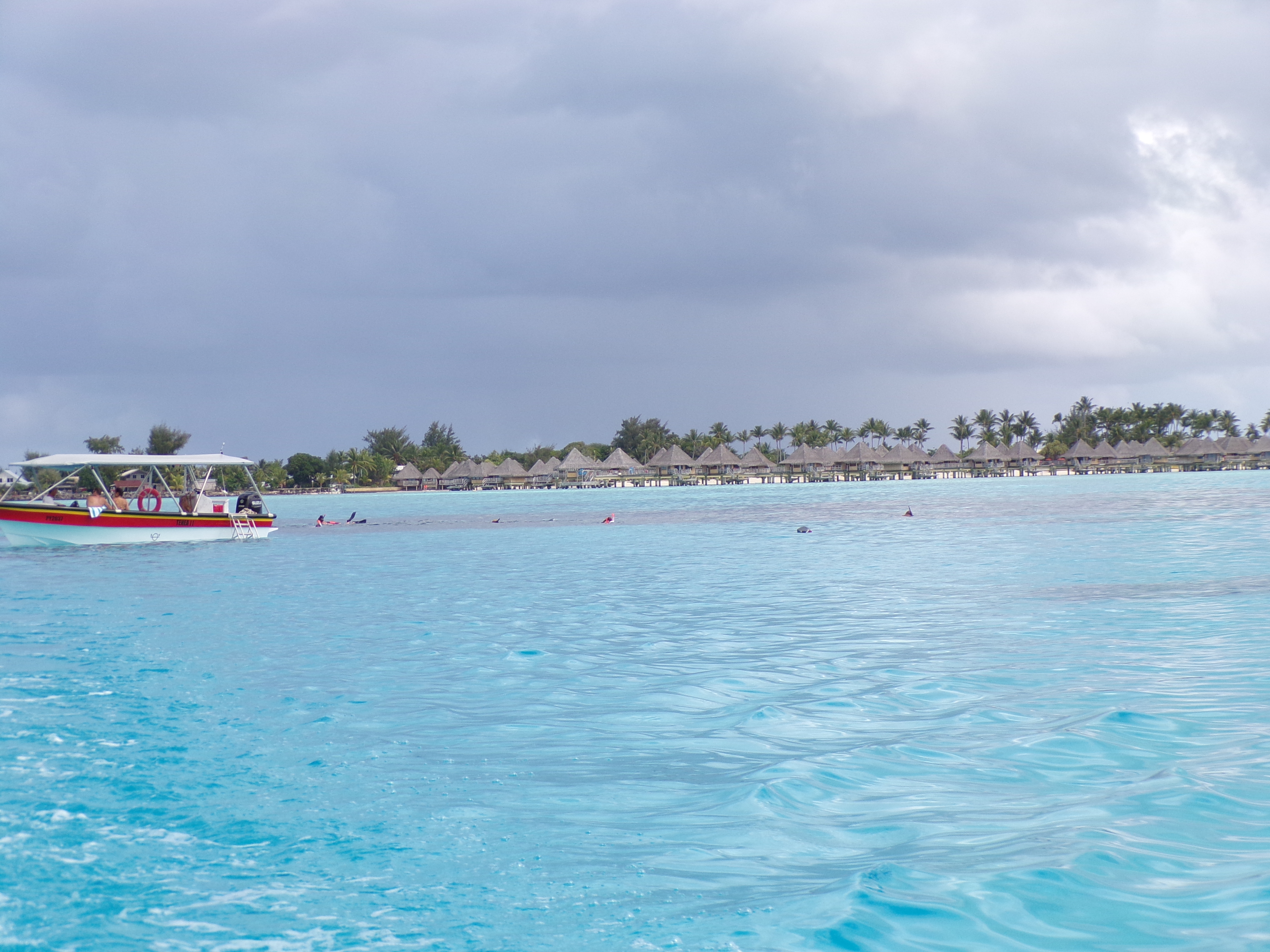 Bungs and people in water