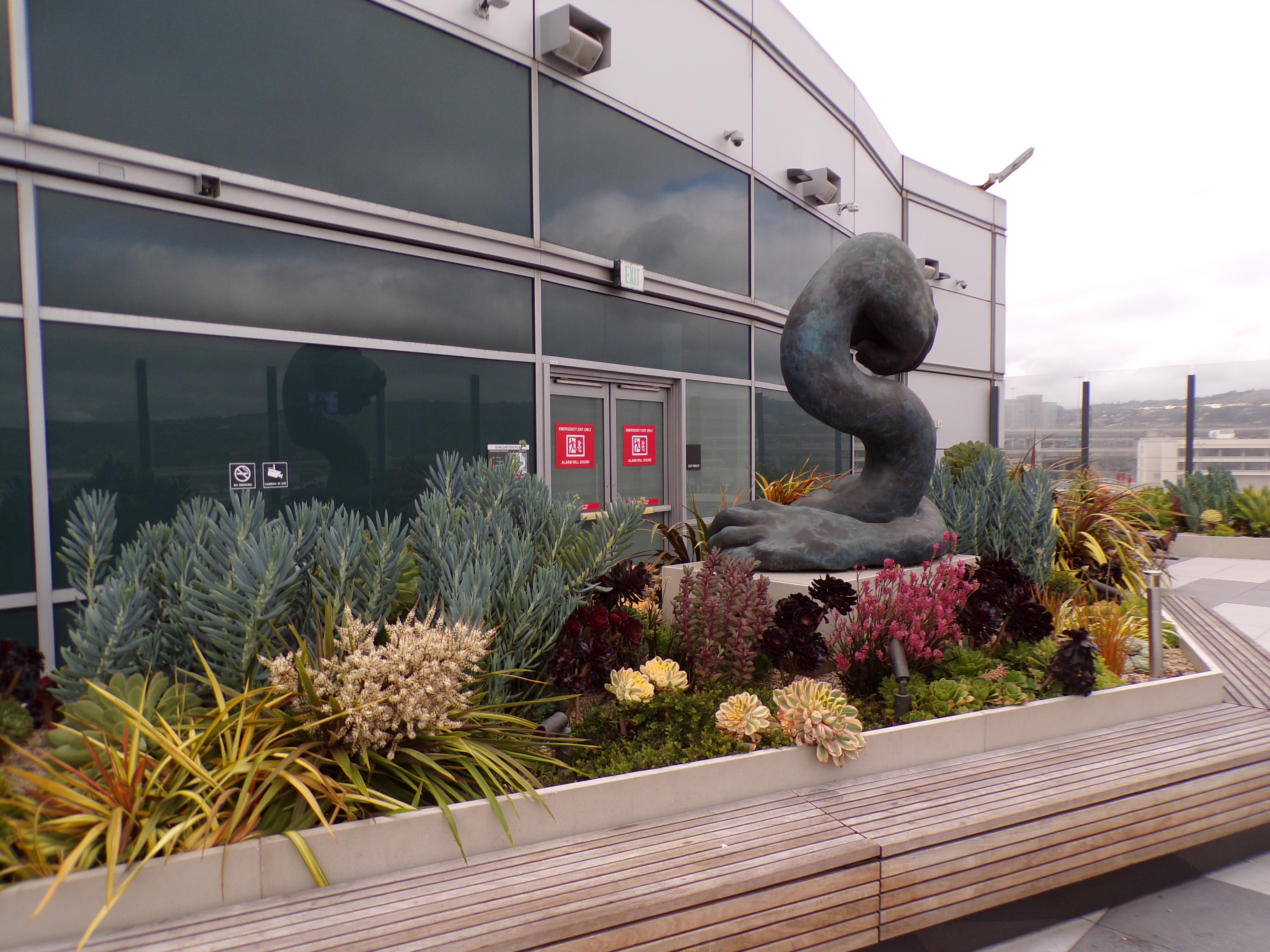 Outdoor garden at the airport