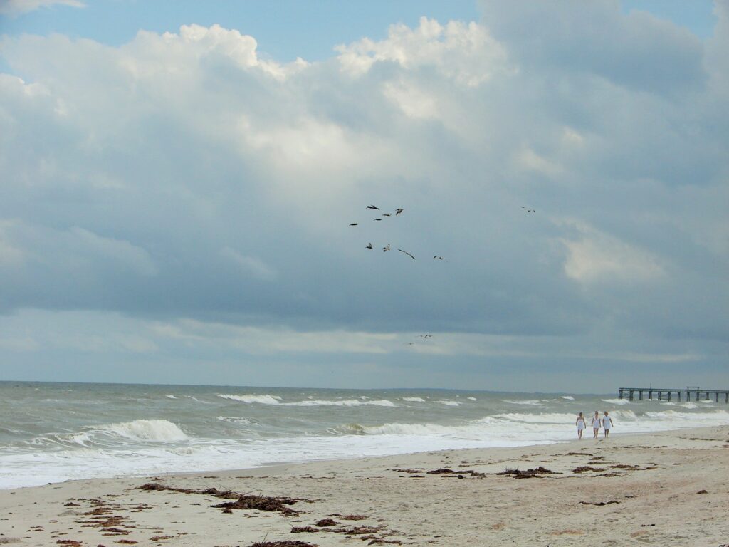 Beach on Amelia Island