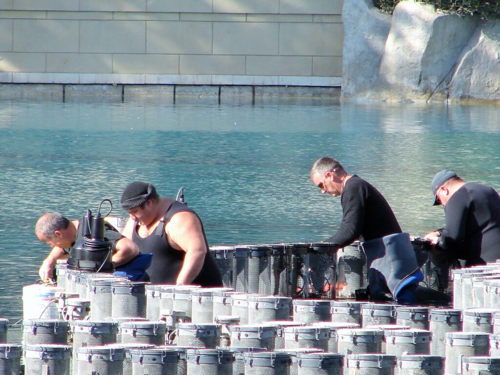 Fishing in Las Vegas