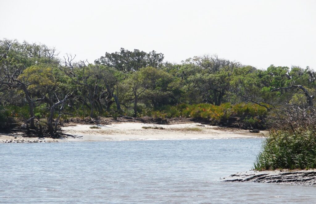 Cove on Cumberland Island