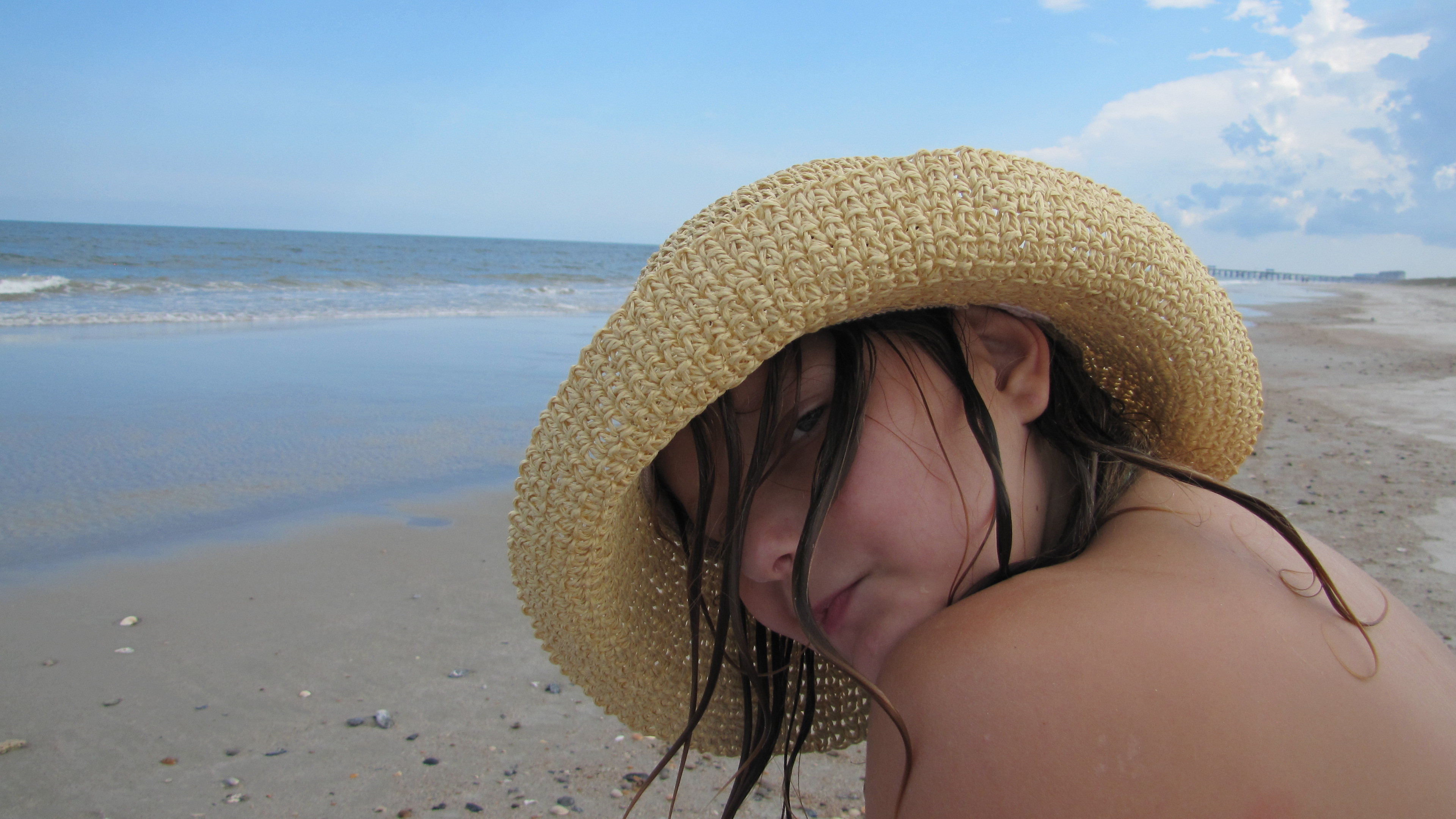 The beach on Amelia Island