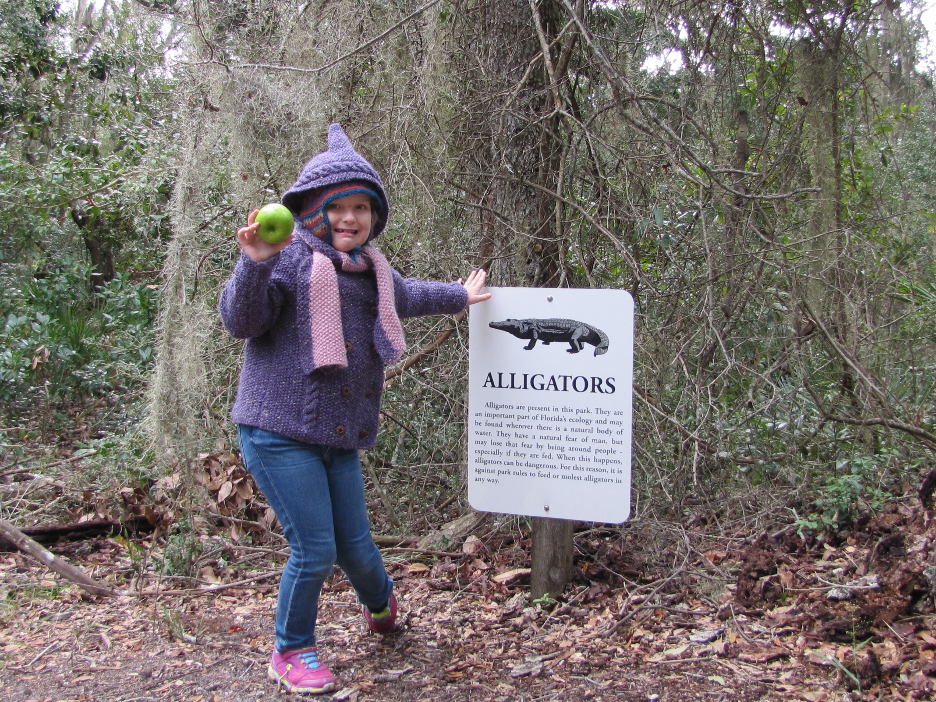 Alligator Sign