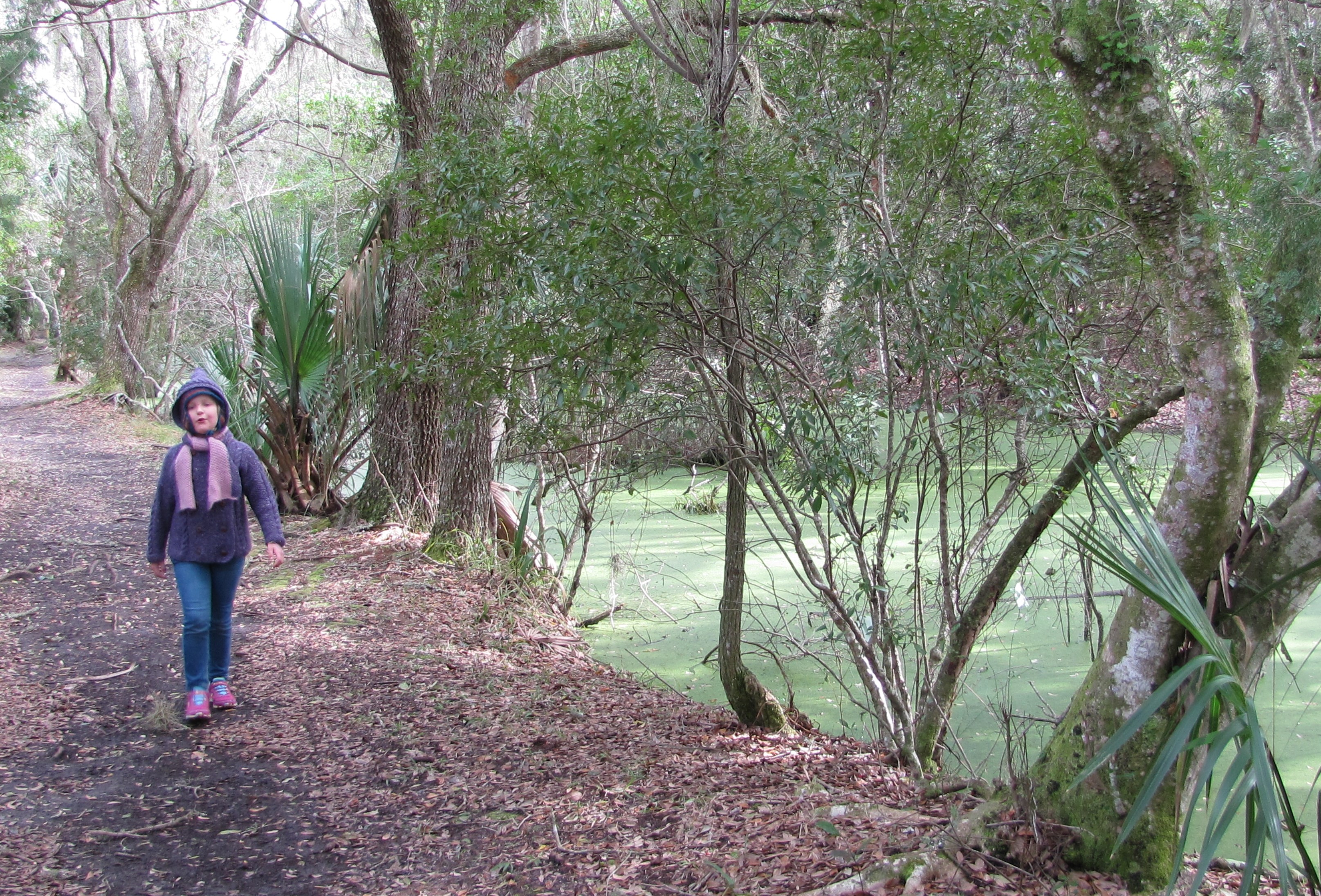 walking a trail