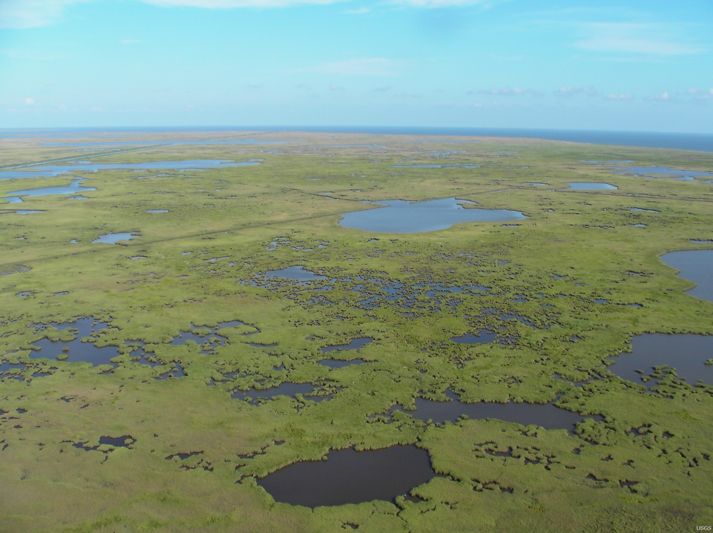 Mississippi River Delta