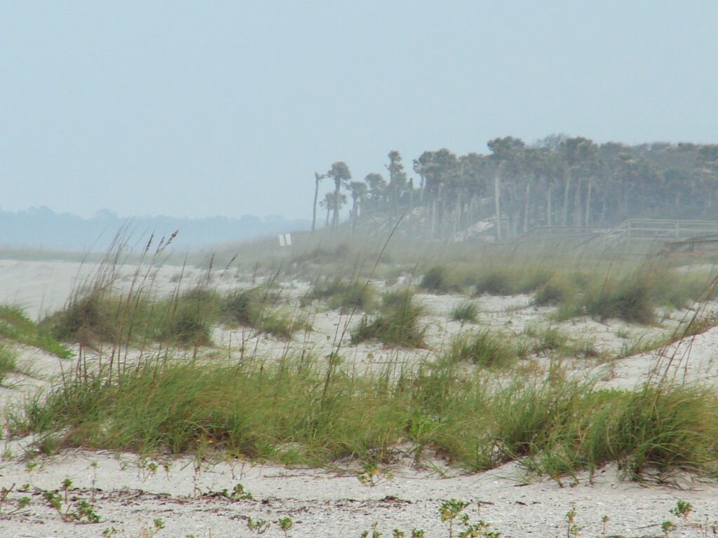 Windy Beach