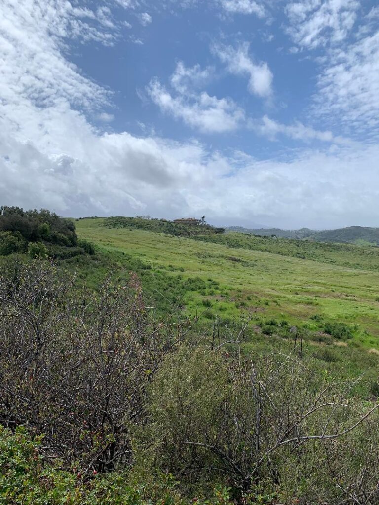 Another view from Reagan Library