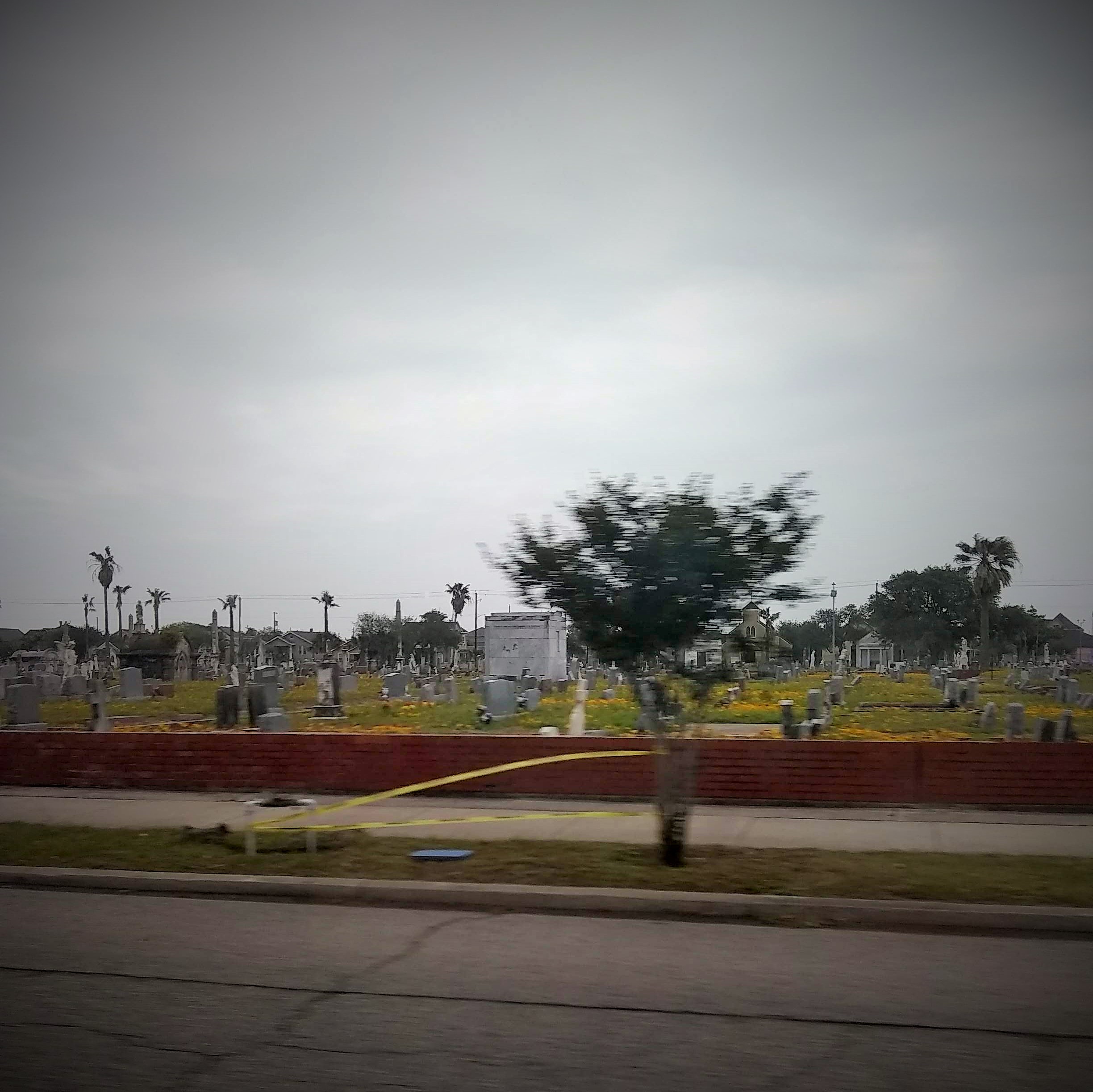 The Killing Fields in Galveston, Texas