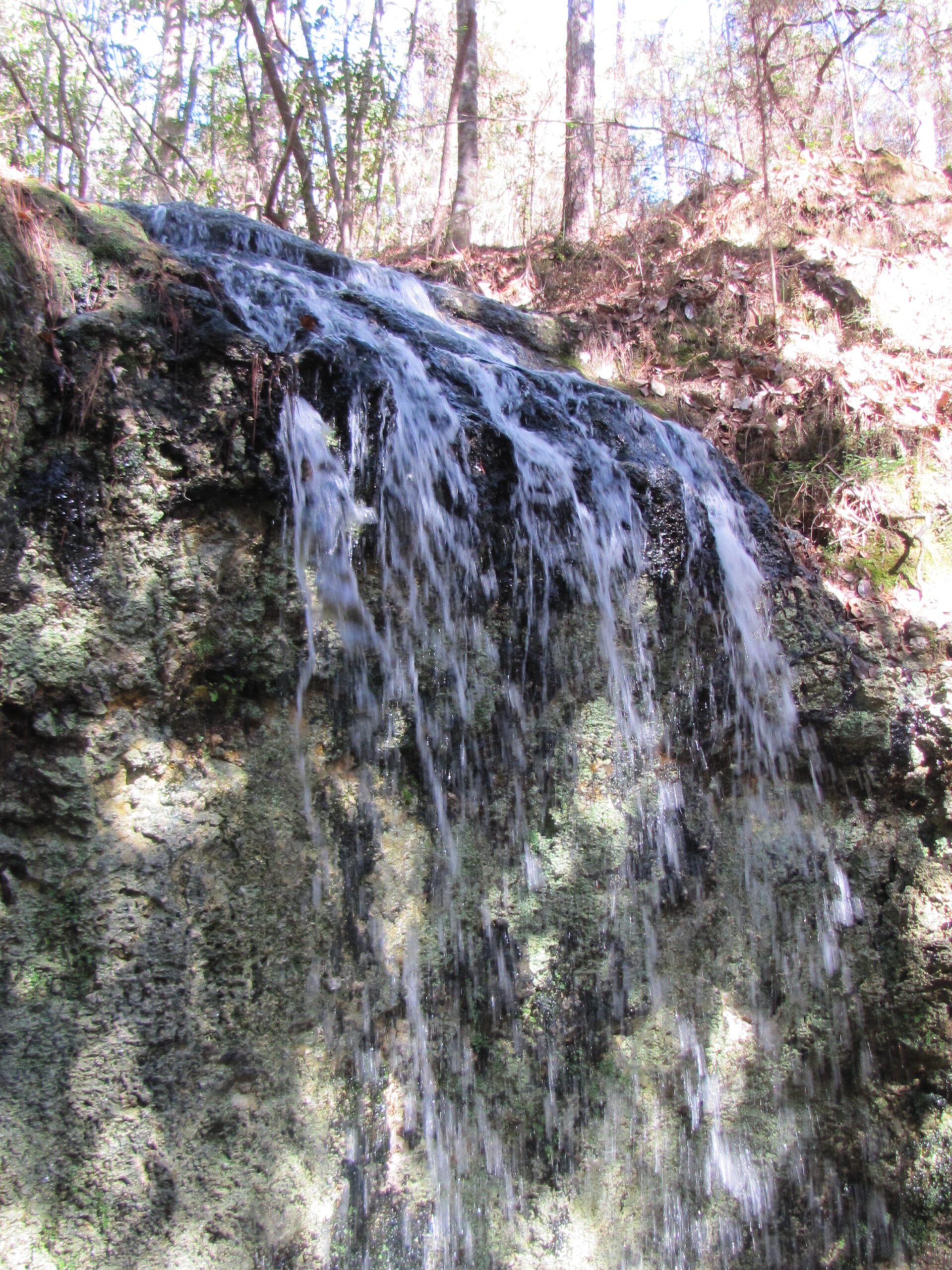 Falling Waters State Park