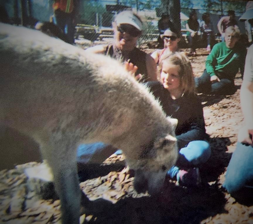 Maureen patting white wolf.