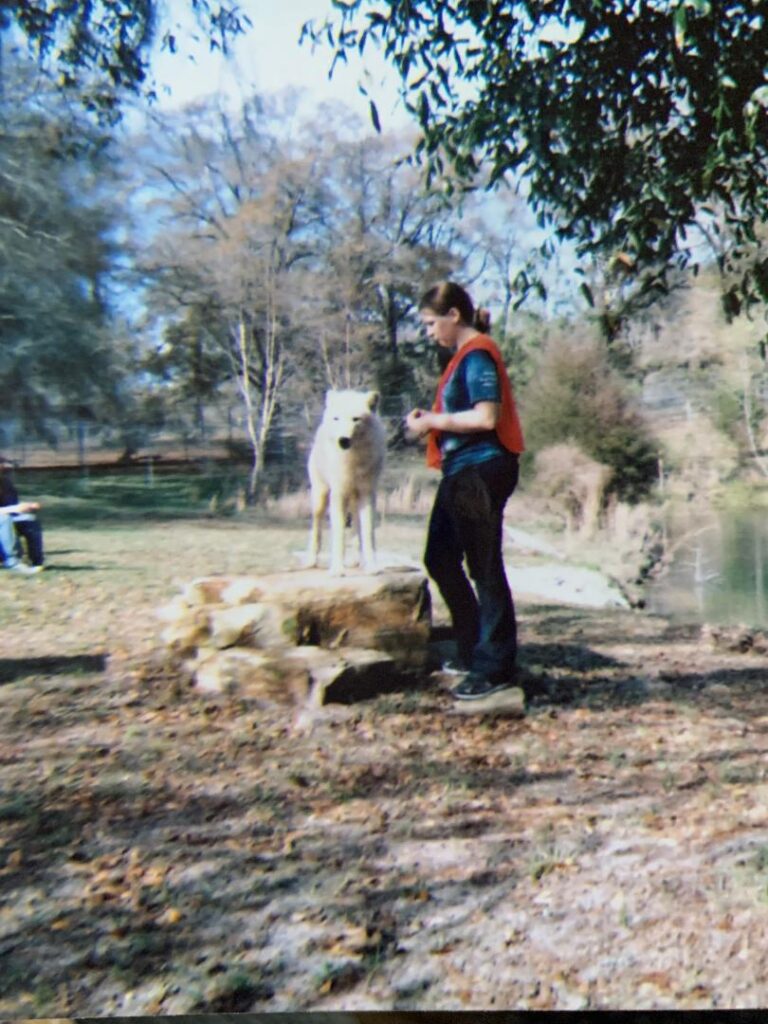 Trainer and white wolf