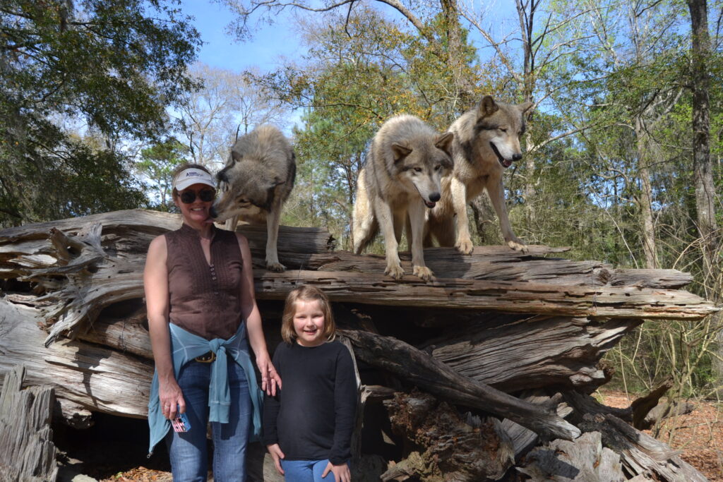 Me and M with the wolves