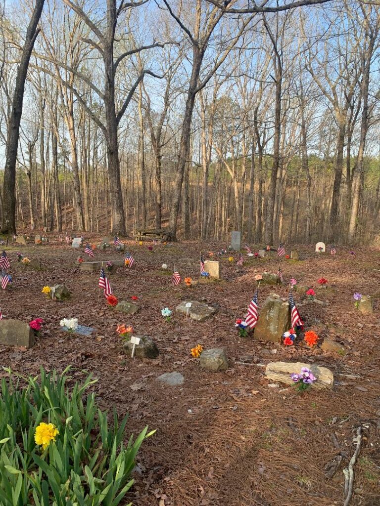 Cemetery for Coon Dogs