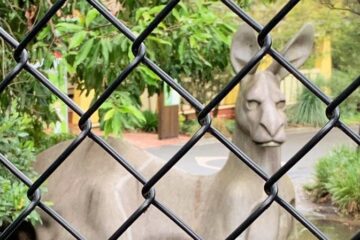 Fake Kangaroo at Sydney, Australia zoo,