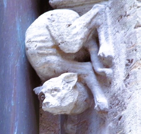 animal gargoyle