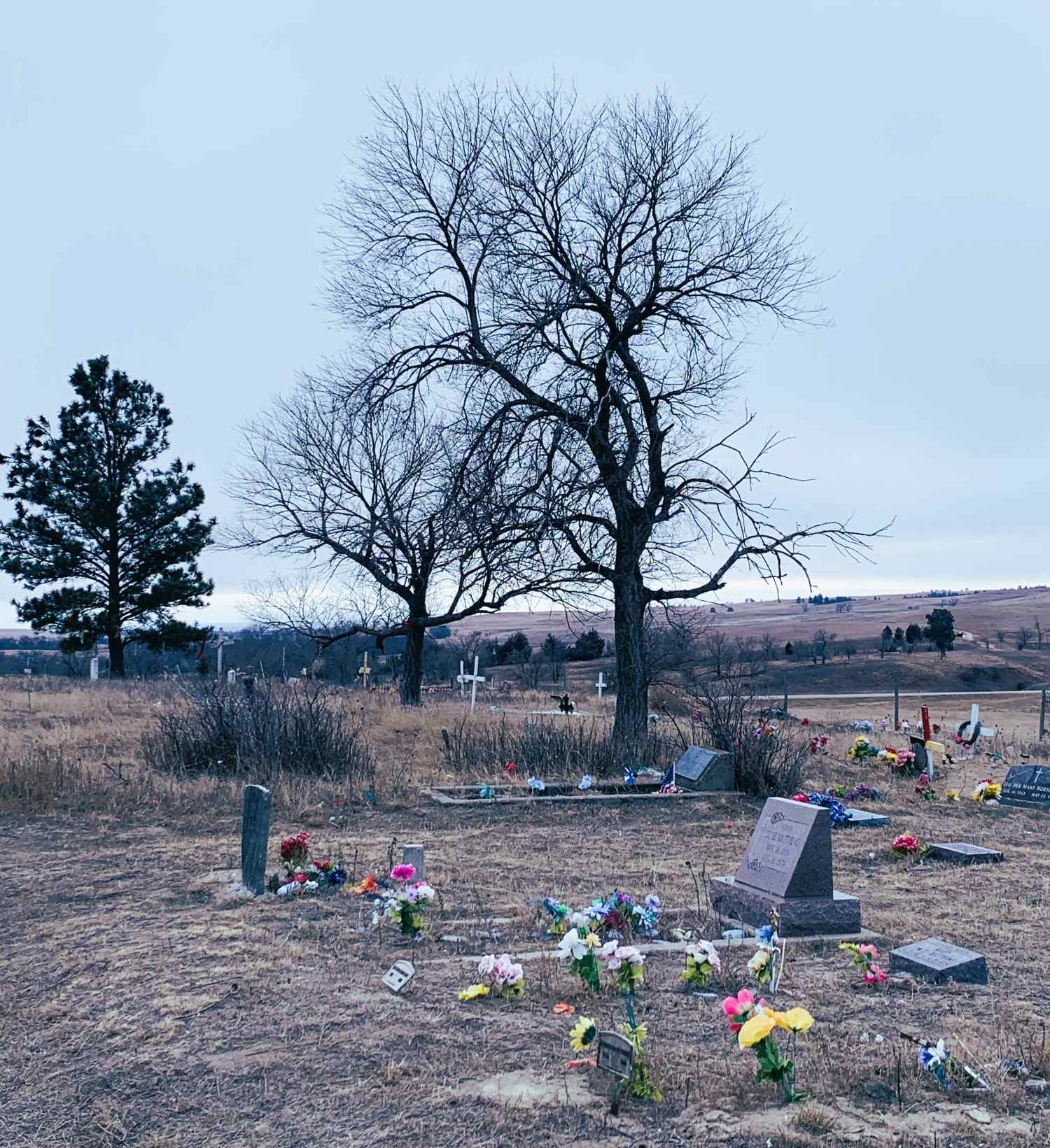Graveyard at Wounded Knee with tree