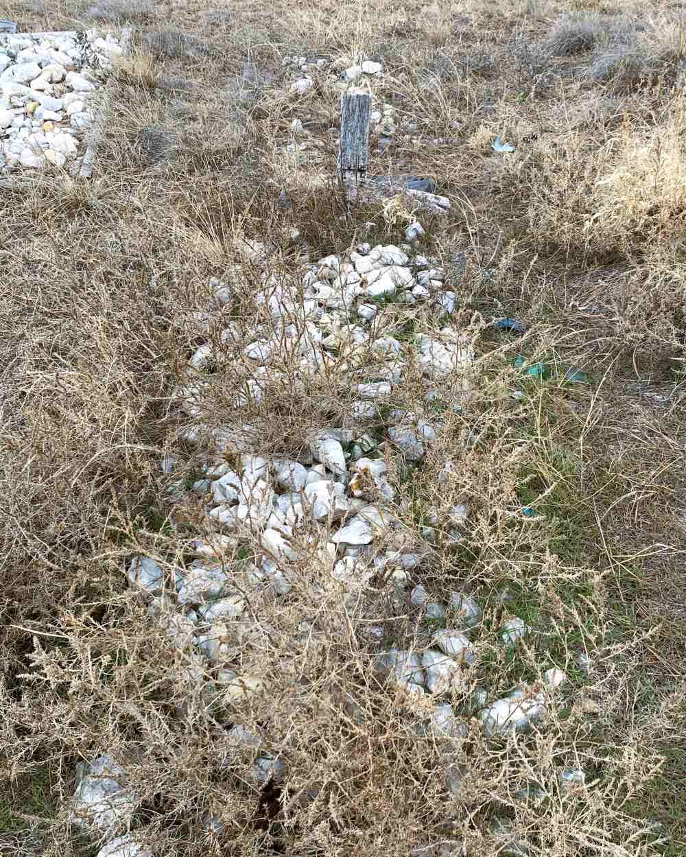 grave with stones overgrown
