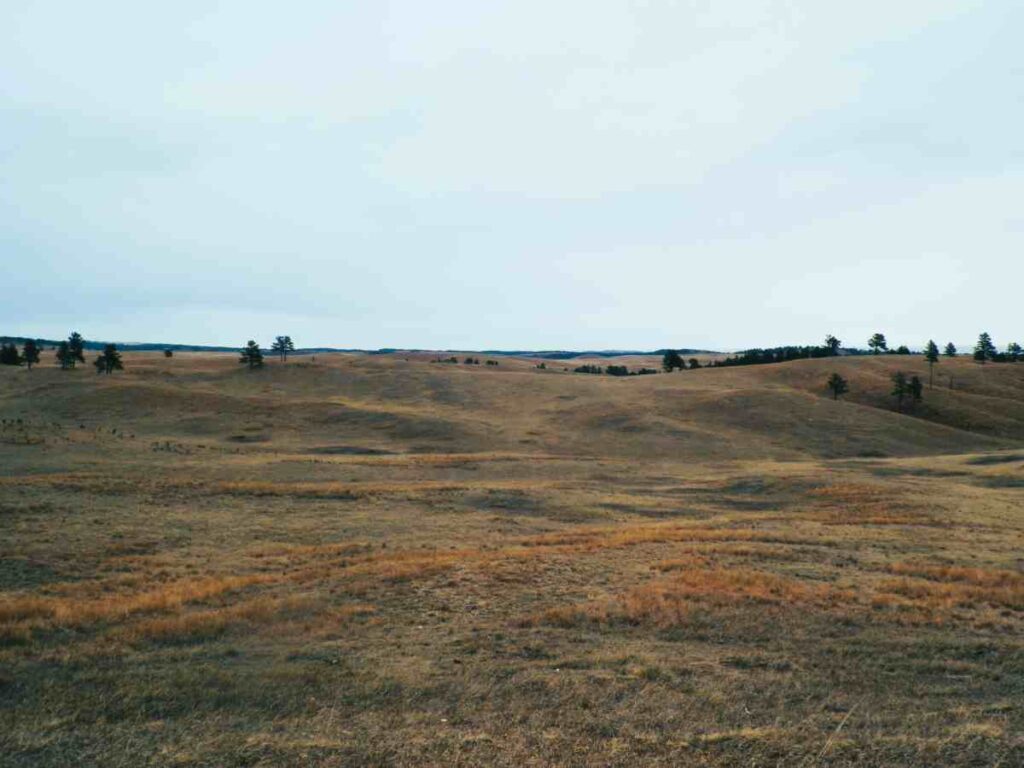 Wind Cave National Park